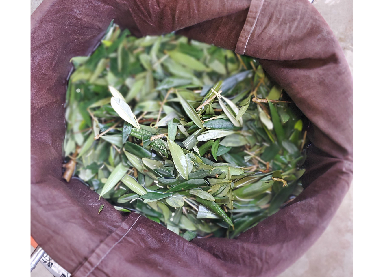 RLȒnE̐AɎgp\łAG߂̃^C~OŐAF̎wo܂B