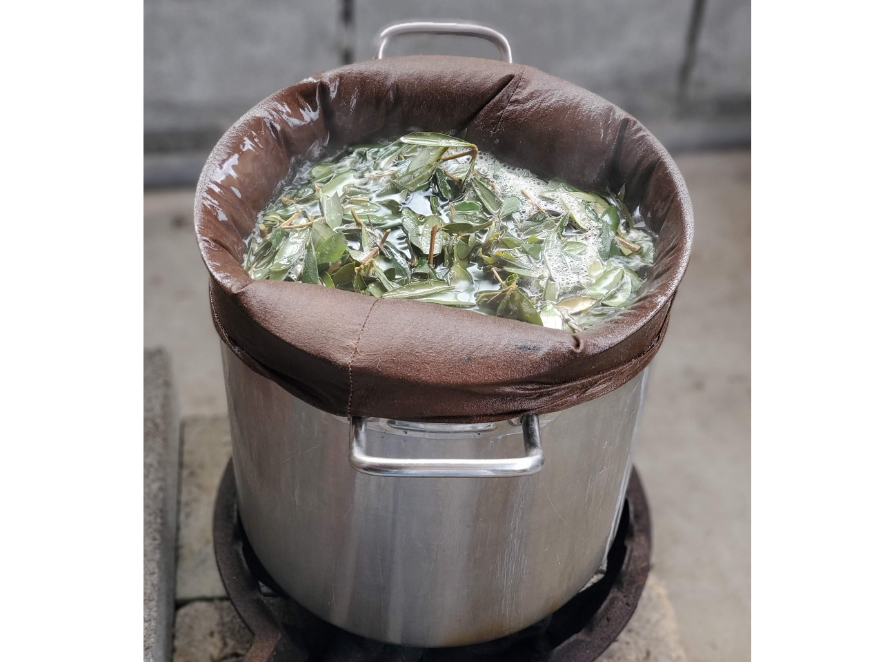 刻んだ植物を煮出して染液づくり!植物から良い香りが漂います♪