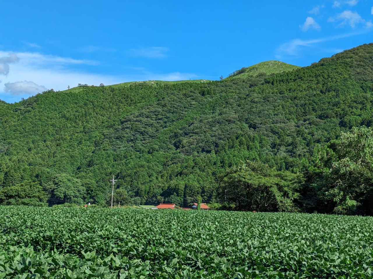 Ă̐ȋ哤BHgobNɐXƂiB