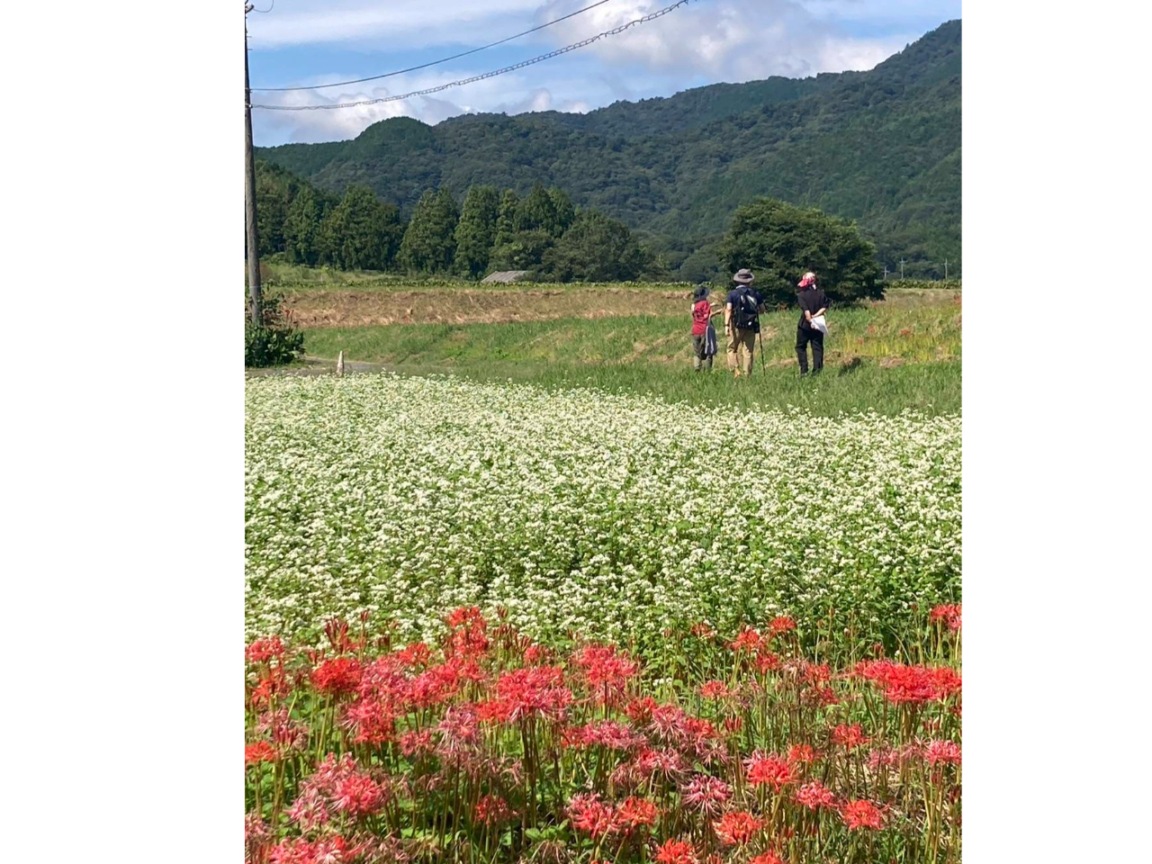 ジオツアーの様子