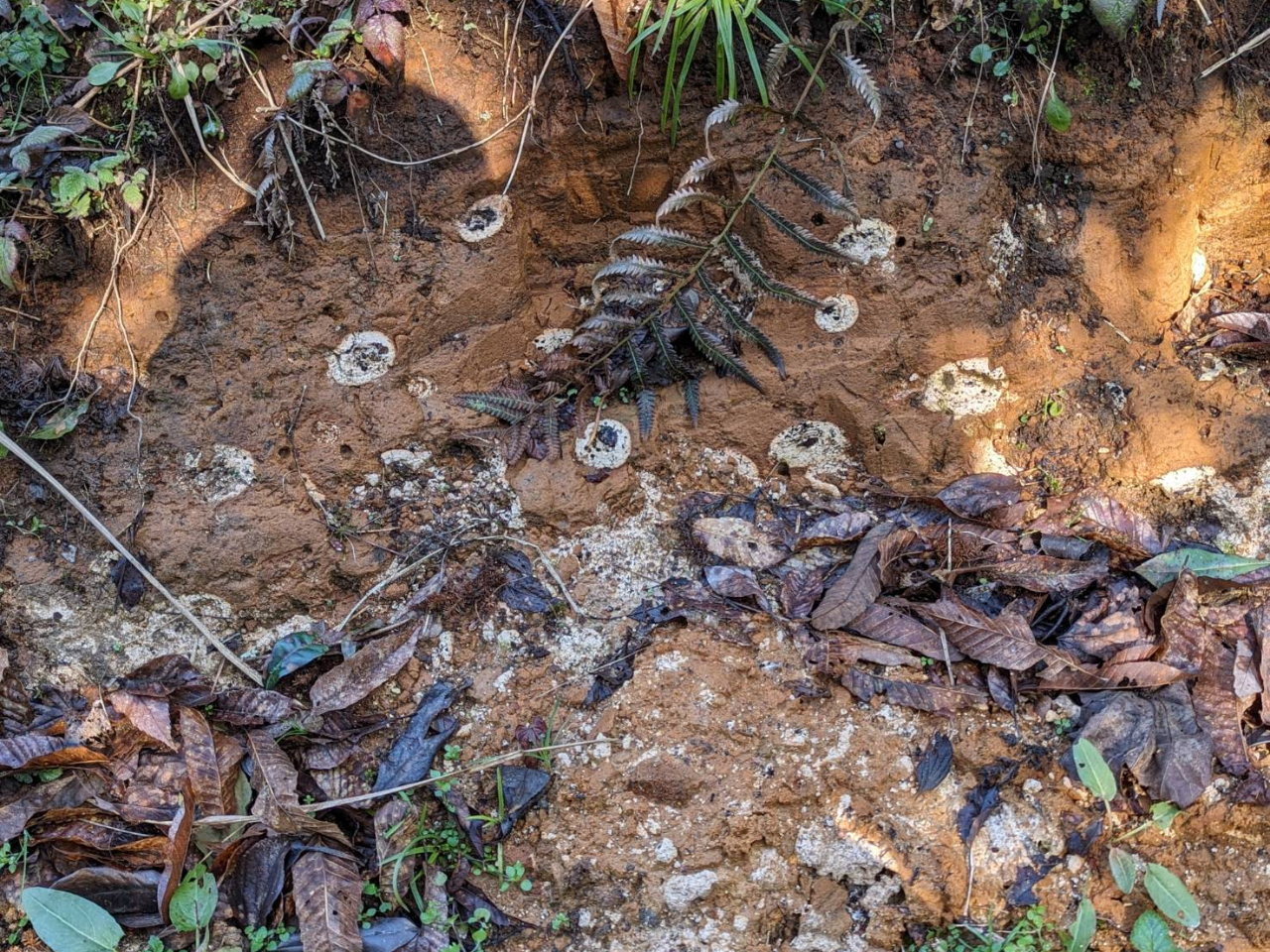 [gŊmFłA̔ۂ͉̂ł傤HH