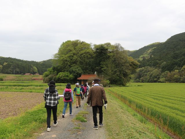 ジオツアーの様子