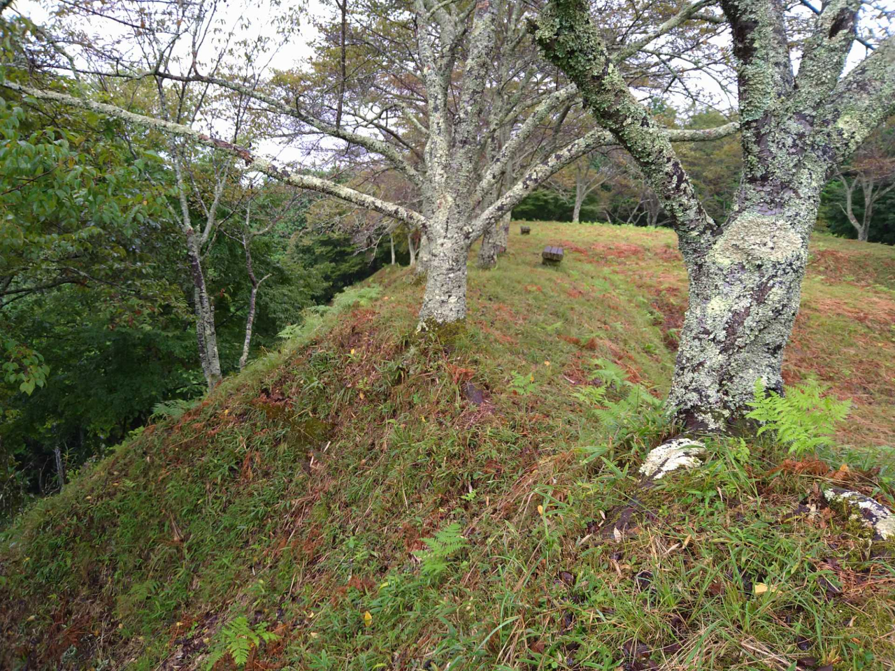 ɒzꂽyہ`bɐΊ_g܂ĂAȂȍ\