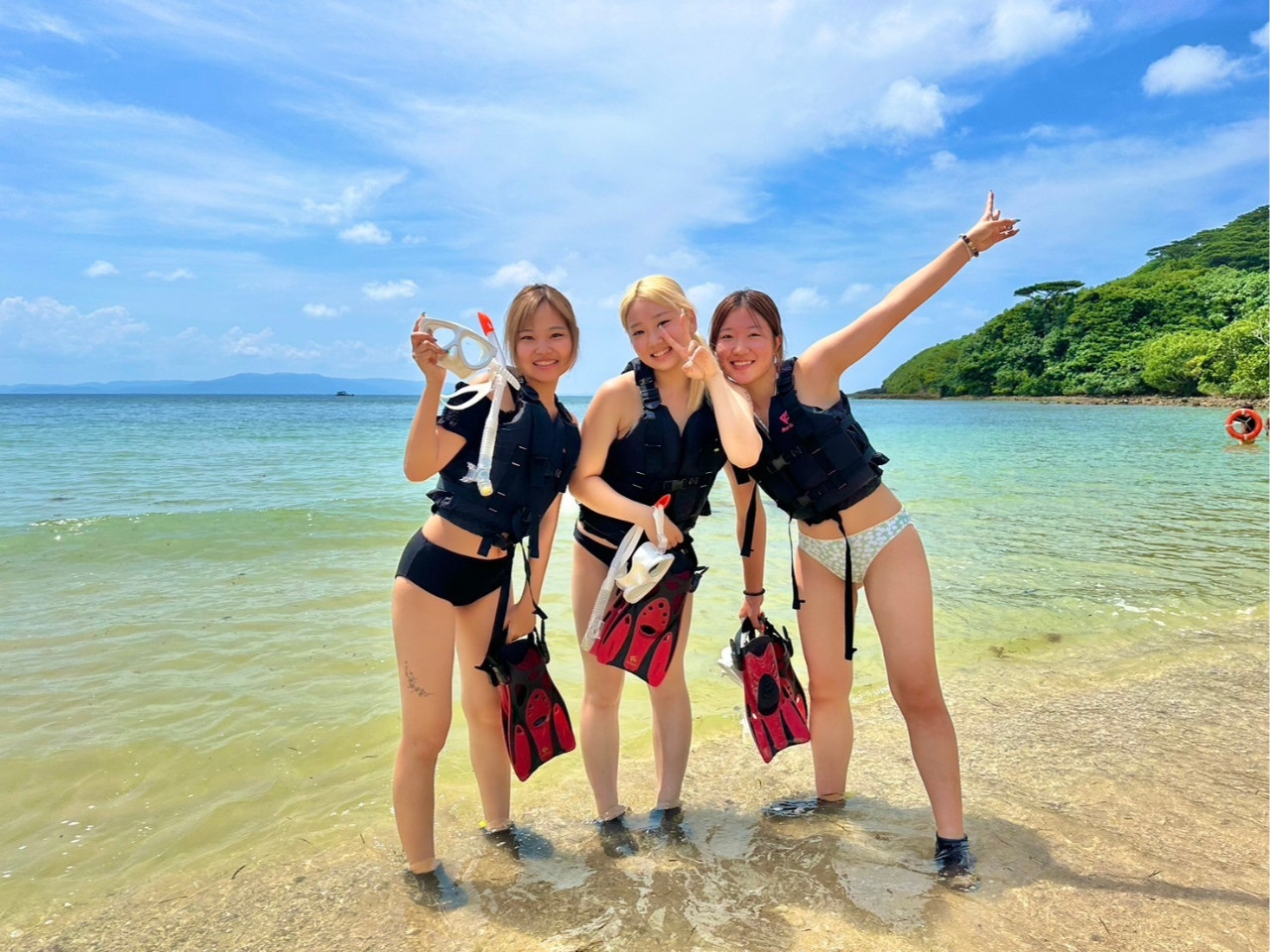 WOŖ`X^[gIΊŃVm[PȌBNN~܂ȂI 