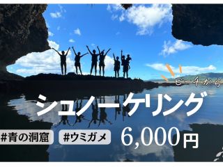 ウミガメに大接近!遭遇率95%の高確率で会えます!