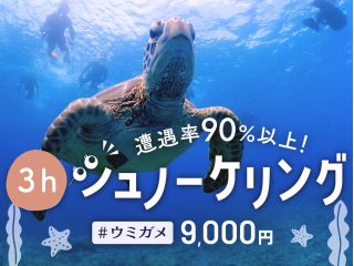 【石垣島・半日】石西礁湖&ウミガメシュノーケリング - 90%以上の遭遇率でウミガメと泳ぐ夢の時間!【無料器材レンタル&写真データ】
