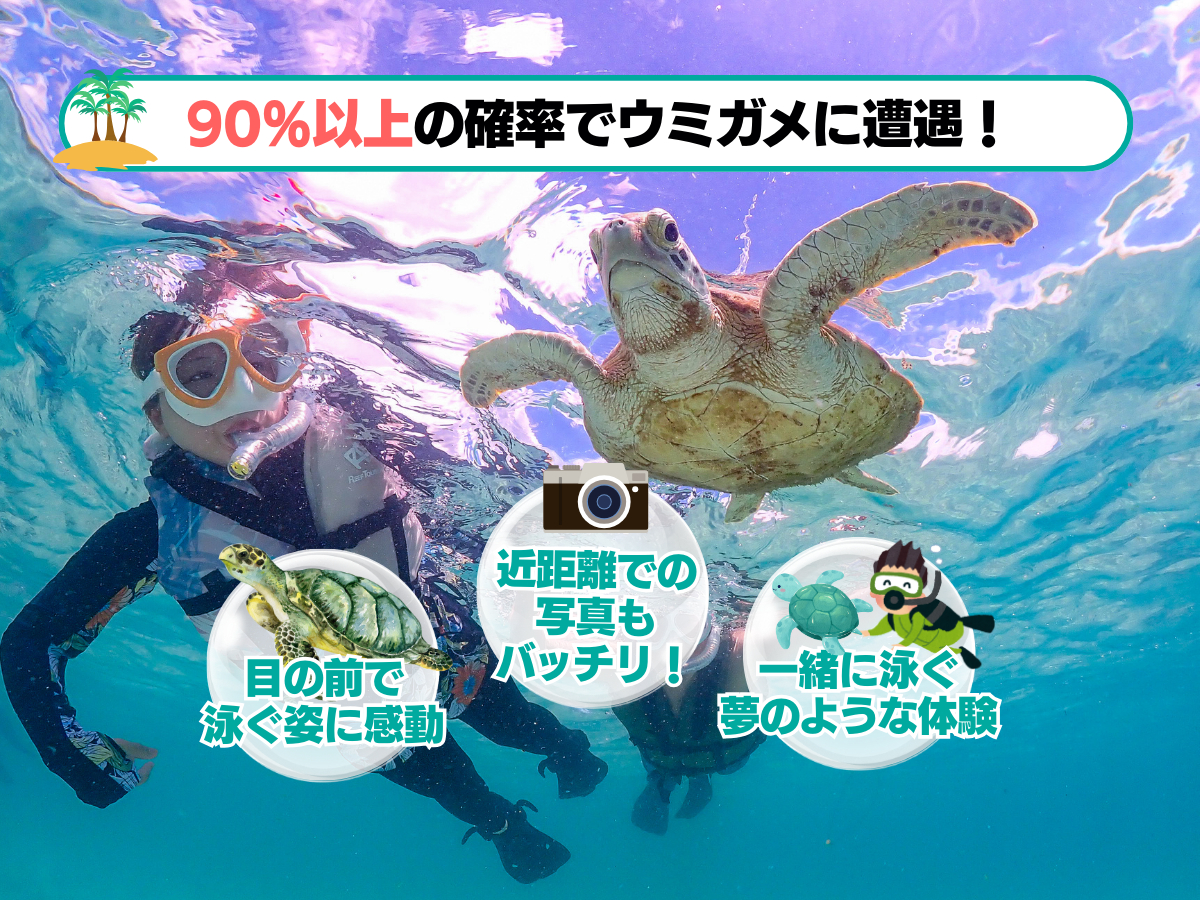 �Ί_���̃N���A�ȊC�ŃE�~�K���Ƃ̃V���m�[�P�����O�̌��I���R�̒��̋ɏ�̎���