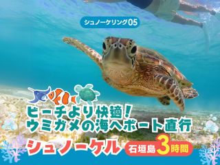 【石垣島・半日】石西礁湖&ウミガメシュノーケリング - 90%以上の遭遇率でウミガメと泳ぐ夢の時間!【無料器材レンタル&写真データ】