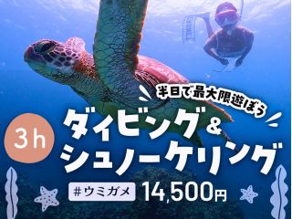 【石垣島・半日】初心者歓迎!ダイビング&シュノーケリング極上体験 - ウミガメと一緒に泳ぐ夢のコンボプラン!【無料器材レンタル&写真データ】