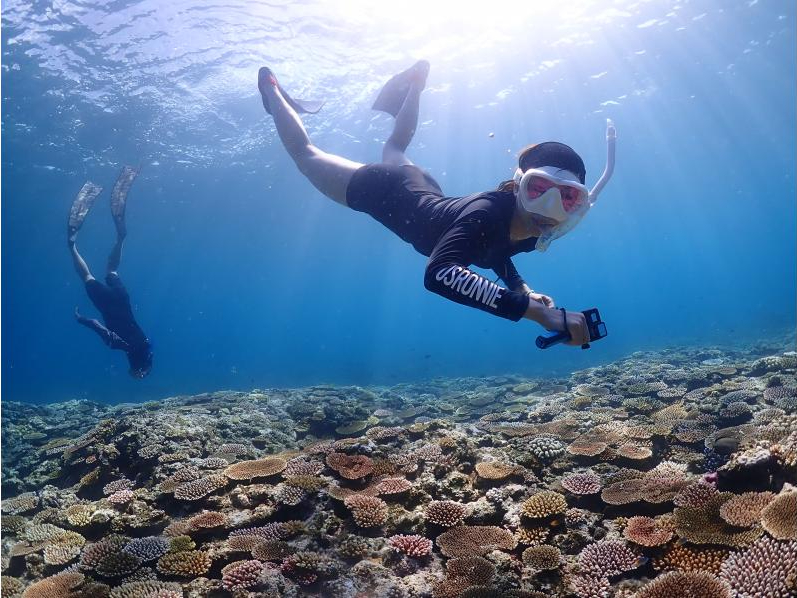 R̃A[gATSʂ̏𕂂ԃVm[PO̊y