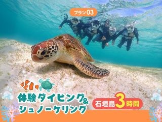 石垣島の体験ダイビング&シュノーケリングをたっぷり3時間楽しめる!
