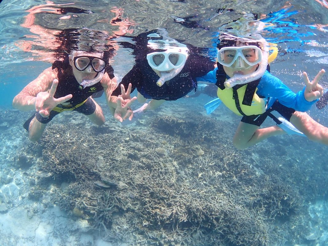 yΊ_E7ԁzSҐIv~AVm[PǑ - ΐʌ΂̃TSIE~KI̓ґɖiI