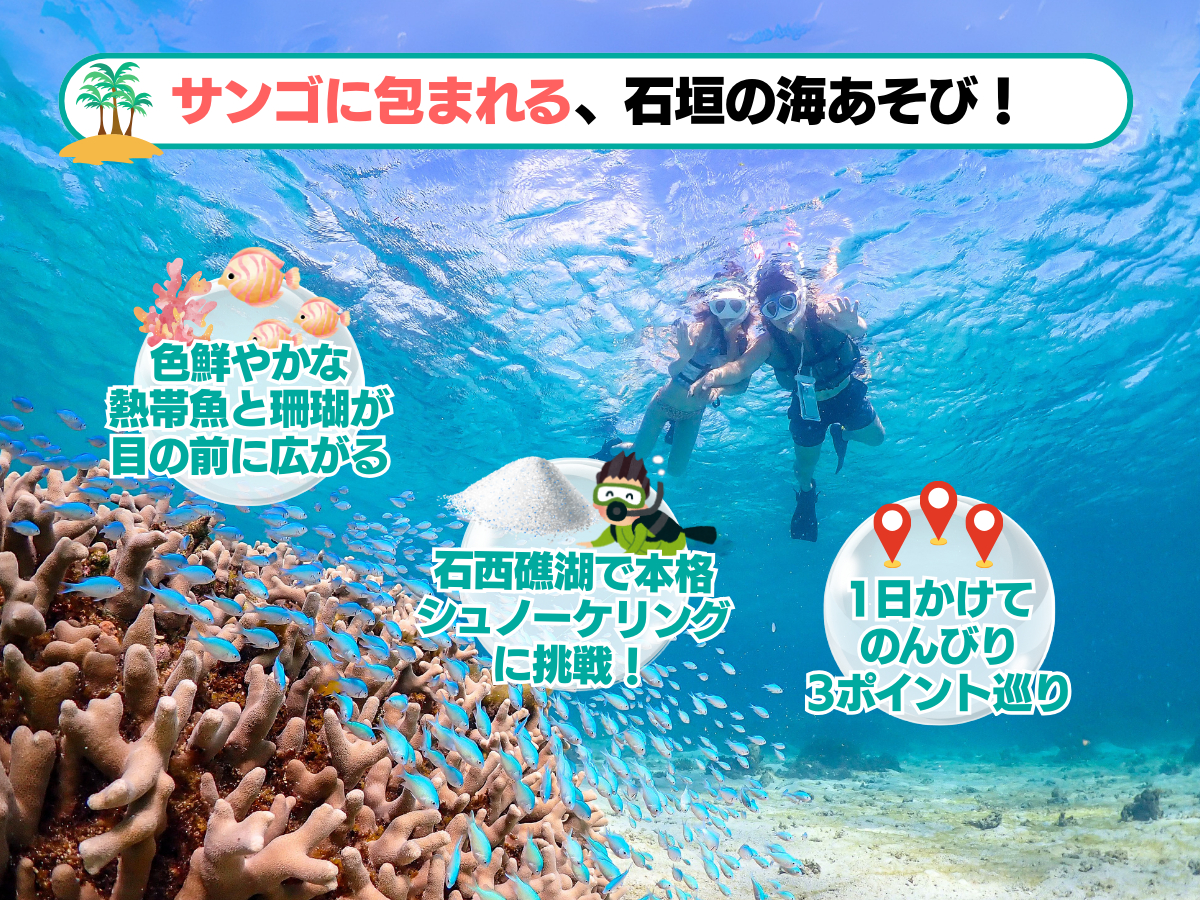 �y�Ί_���E7���ԁz3���i�~�V���m�[�P�����O�O���I���̓��E�E�~�K���E�T���S�ʂ𖞋i