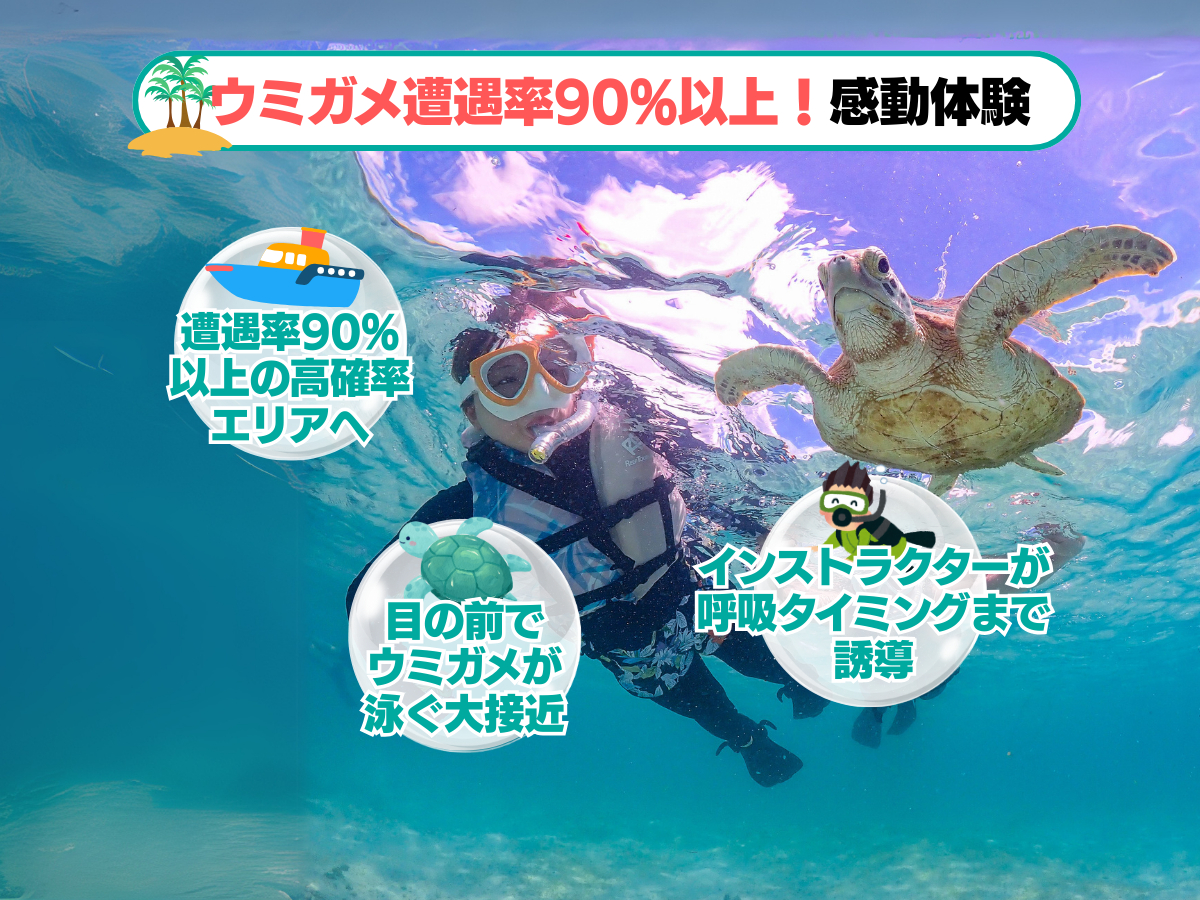 �Ί_���E7���ԁz���S�Ґ��I�_�C�r���O���V���m�[�P�����O���͖��ڃR���{ - ���̓��T�����E�~�K���ƈꏏ�ɉj���ō��̑̌��I 