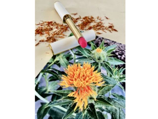 和桜紅花リップクリームorグロス講座(通年)