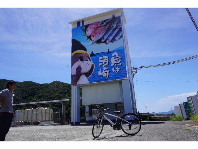 須崎魚市場(須崎駅から約1km)。魚の街「すさき」ならではの風景です!