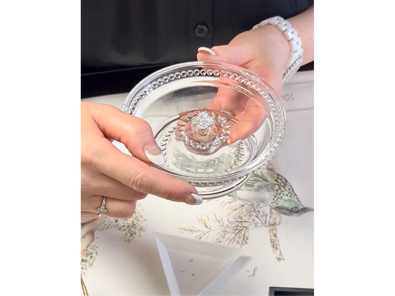 ZԂŖ{iIȃy_ggbvoオ܂