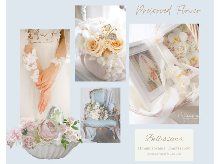 �x���b�V�}�ł͎�̕����玑�i�擾�̕��܂ŕ��L���Ή��@����肢�������t�@�[�A�����W���M�t�g�Ƃ��Ă����g�������������i�Ɏd�オ��܂��̂Ő��񂲎Q��������