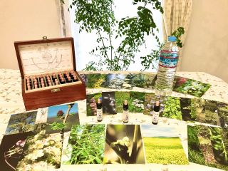 38種類のお花のカードから、今の自分を癒してくれるピッタリのお花がきっと見つかります。植物からのメッセージを、どうぞお楽しみに♪