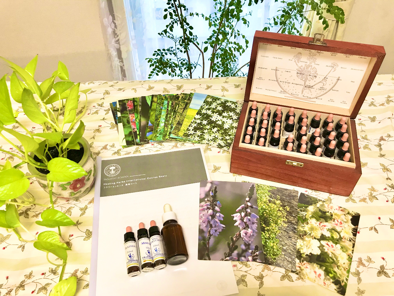 東京/赤羽】フラワーエッセンス講座 体験教室/Soin - じゃらん遊び体験