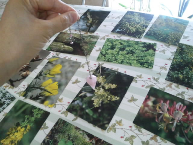 t[J[hgĎɍt[GbZX_EWO