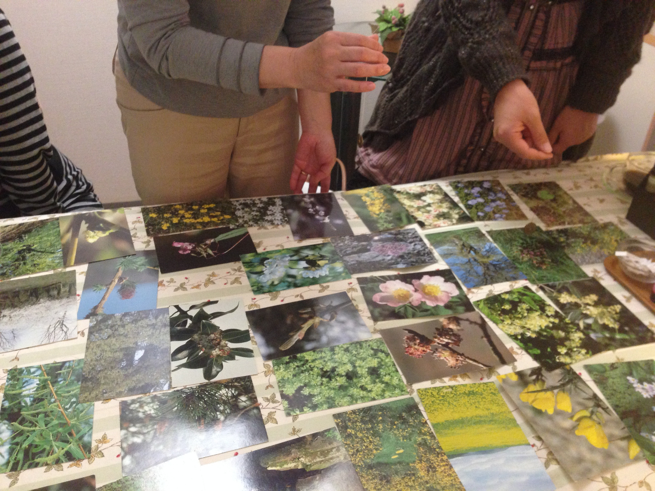 āAɍt[GbZX͂ǂł傤H