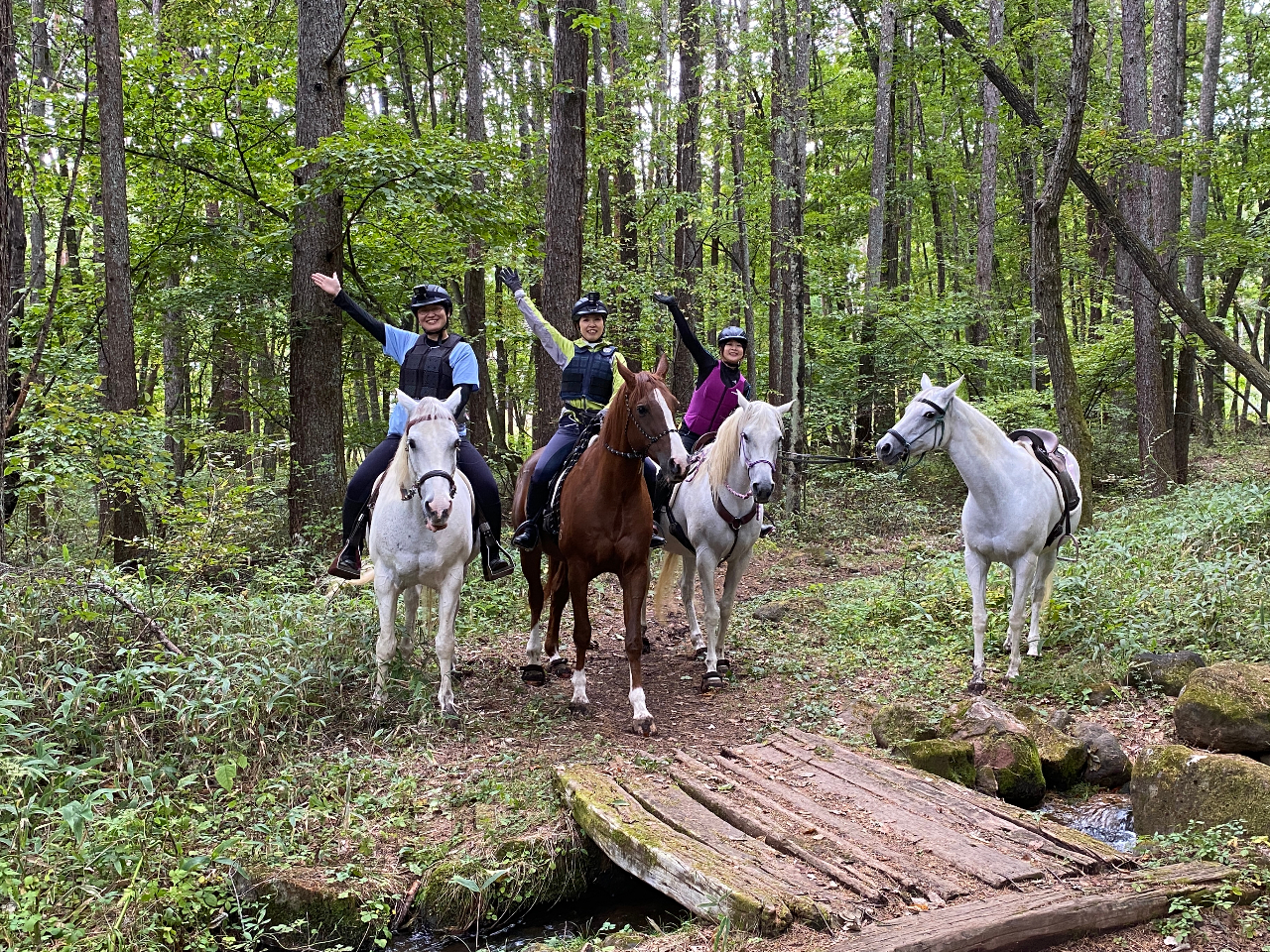 ǂ3lgA(߂Ƃ)NOył܂@v2`2.5