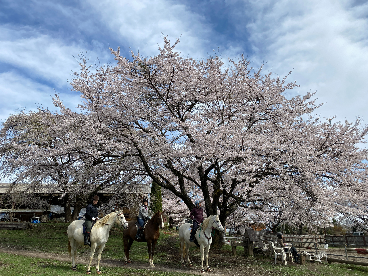 初心者の方・経験者の方もOK】八ヶ岳南麓の美しい景色を見ながら楽しむ
