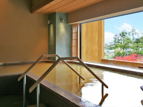 G̓ijjyz₦AɁA؁E֐ߒɁAsQȂǂɌ\ƂɐZAꂽSƐĝtbVB