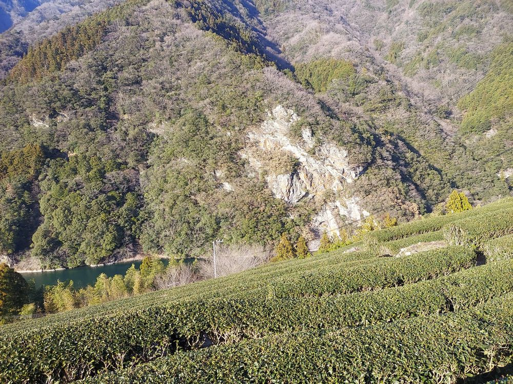 ��n_����