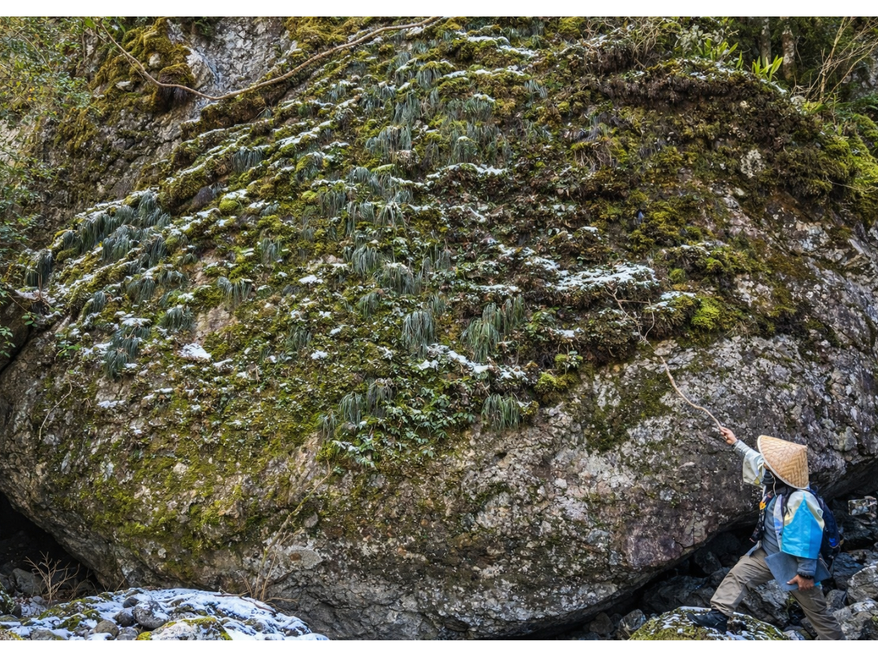 �≮��ɂ͋��₪�S���S���A�A����n�����Ɠ��Ŋy�����I�≮��k�J�͐m���쒬�̎O��k�J�̂P�ŁA�S�Ăɓ������قȂ�܂��B