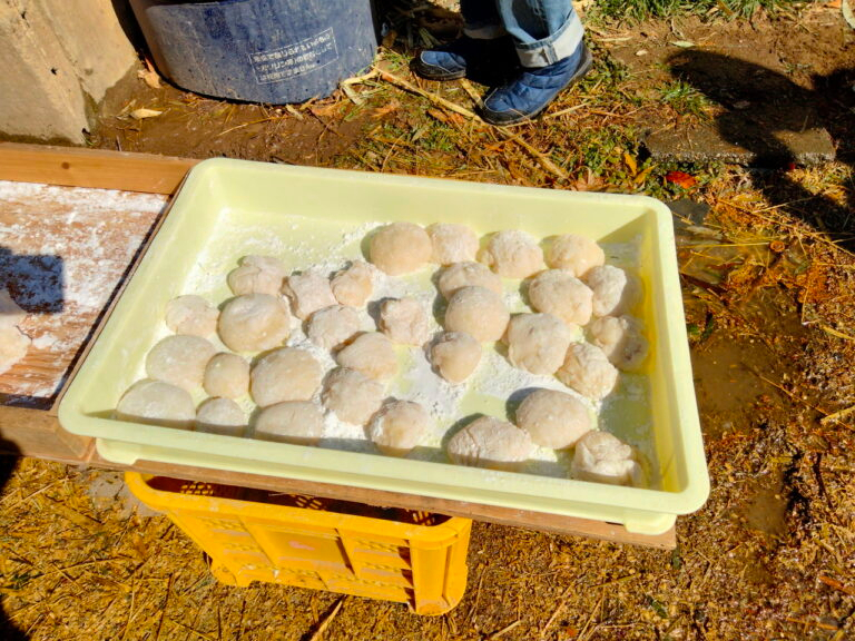 杵と臼でお餅つき/ビヨンド自然塾 - じゃらん遊び体験