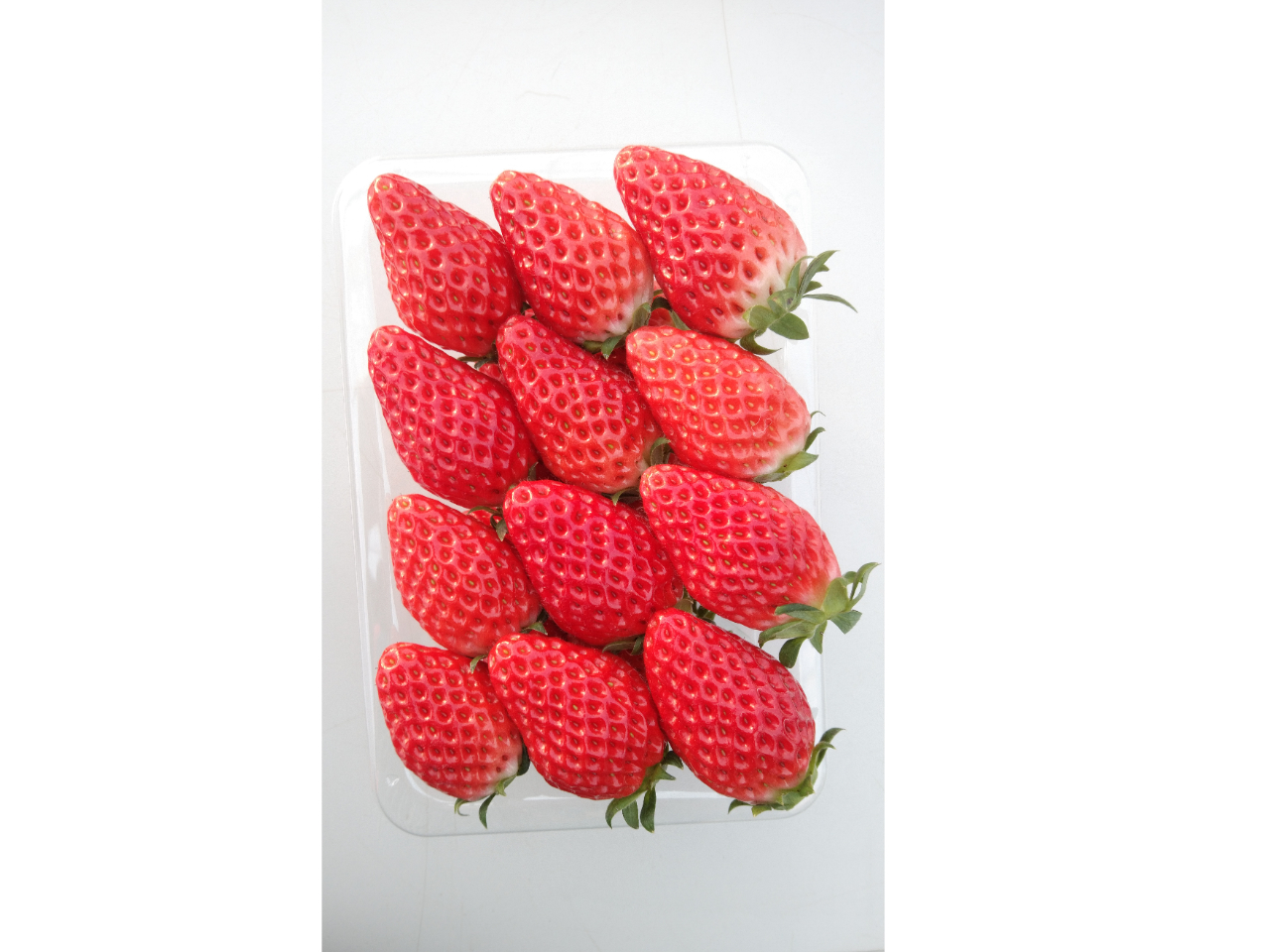 �����Ђ�(�͕P)