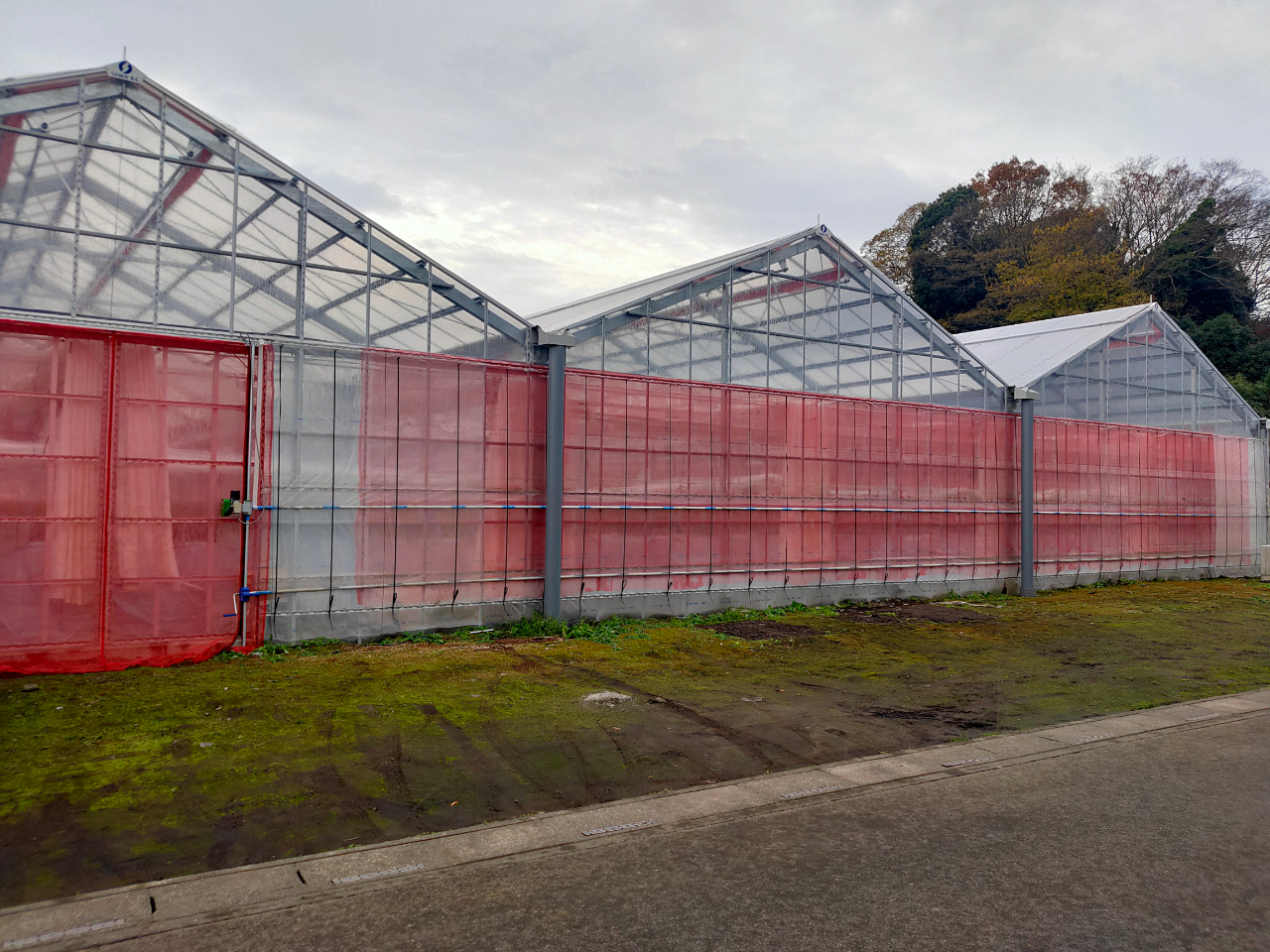 �n�E�X�̊O�ςł��B