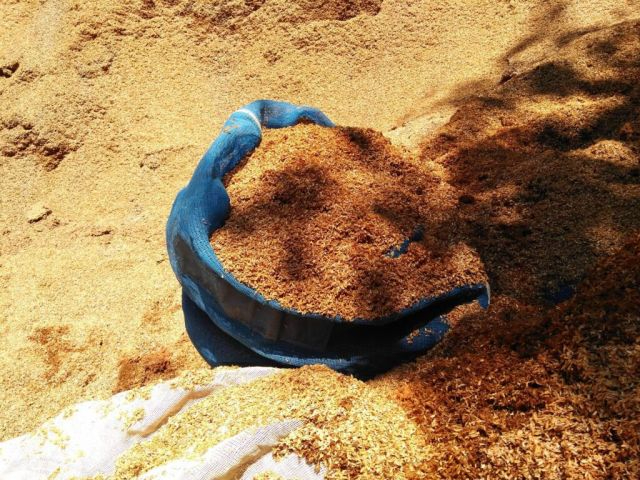 nɂA𗘗pAԂĔyu͔vƂĂ܂Bʐ^͂̂̈Au݊kvłB