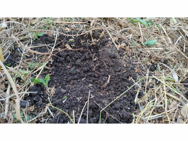 ؂ő؂ȁuyvByƎRǂĂAqɂȂƂAƂ݂R_̖łAڕWłB