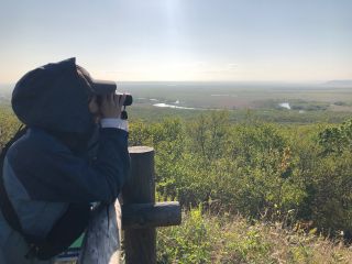 6月 深緑の細岡展望台