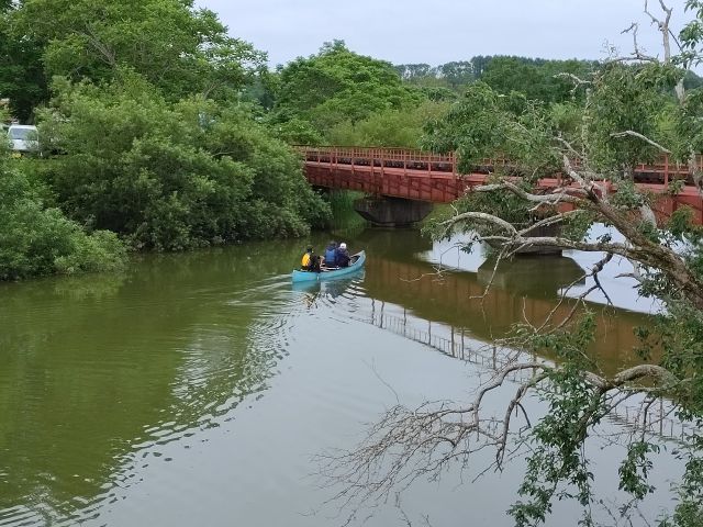 深緑の6月 釧網線の下を通過します