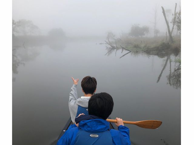 夏の定番、釧路湿原の霧