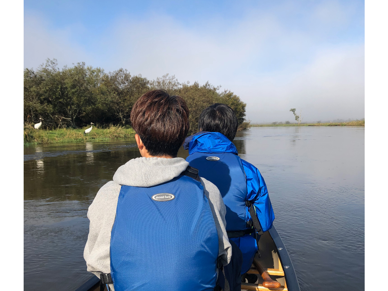 oĂĂꂽ烉bL[ȃ^`E@ʉ߂Ƃ͐Âɂ[ƁAז͂܂B