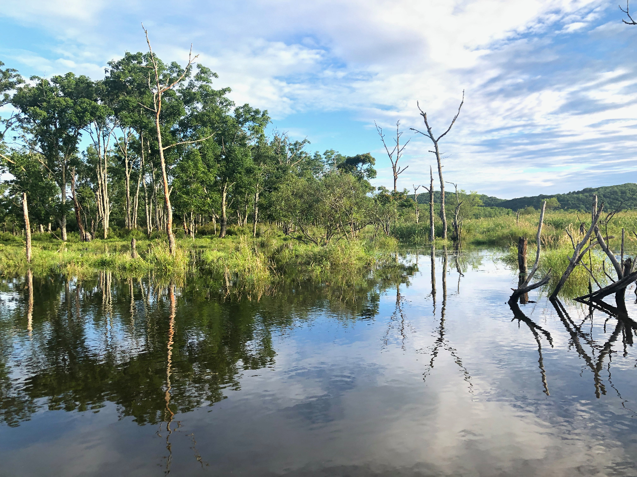 8@͂؂GA@R̂܂܎cĂ܂