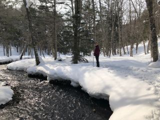 冬でも凍らない川。川のせせらぎを聞きながらの散歩道