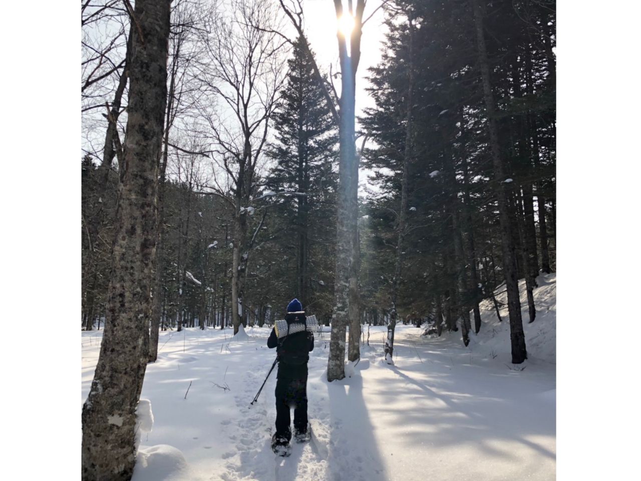 ̏ōăbNXĂׂɁAKCh͉ו̂łB