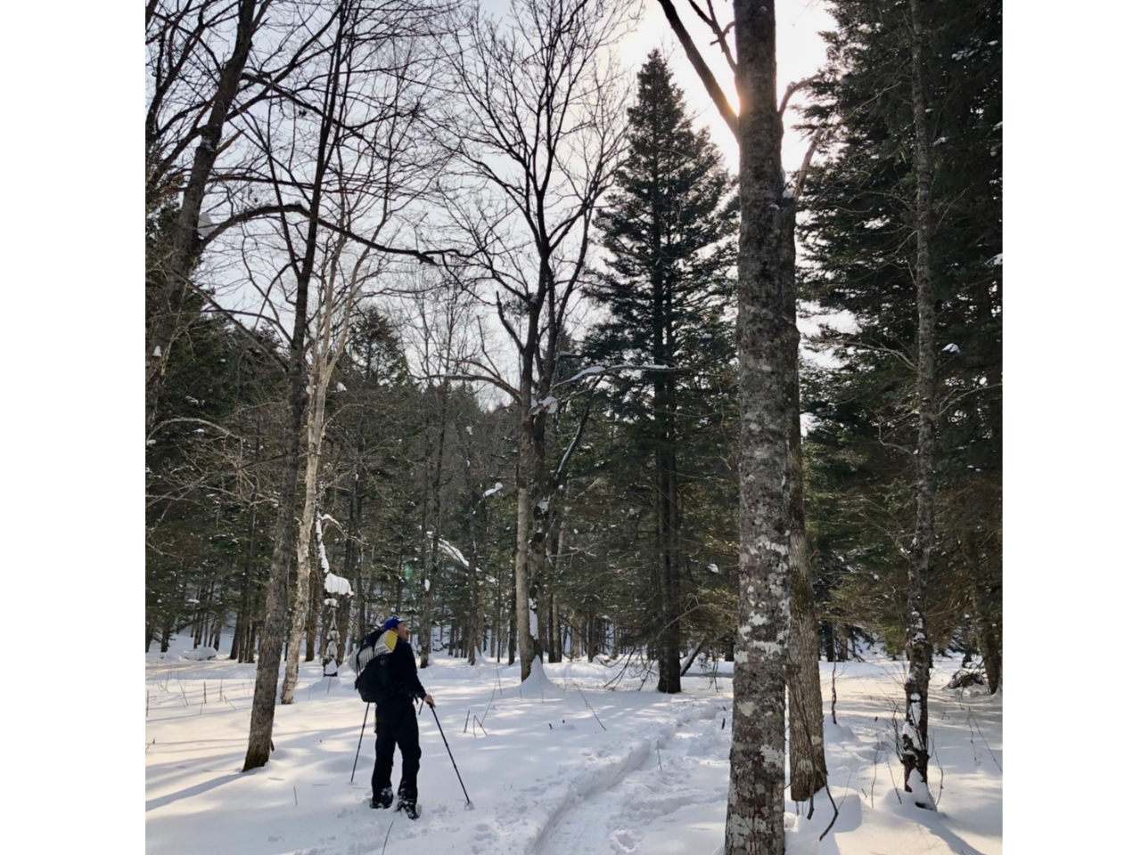 Vω邽߂ɁAKCh͂LLĂ܂B