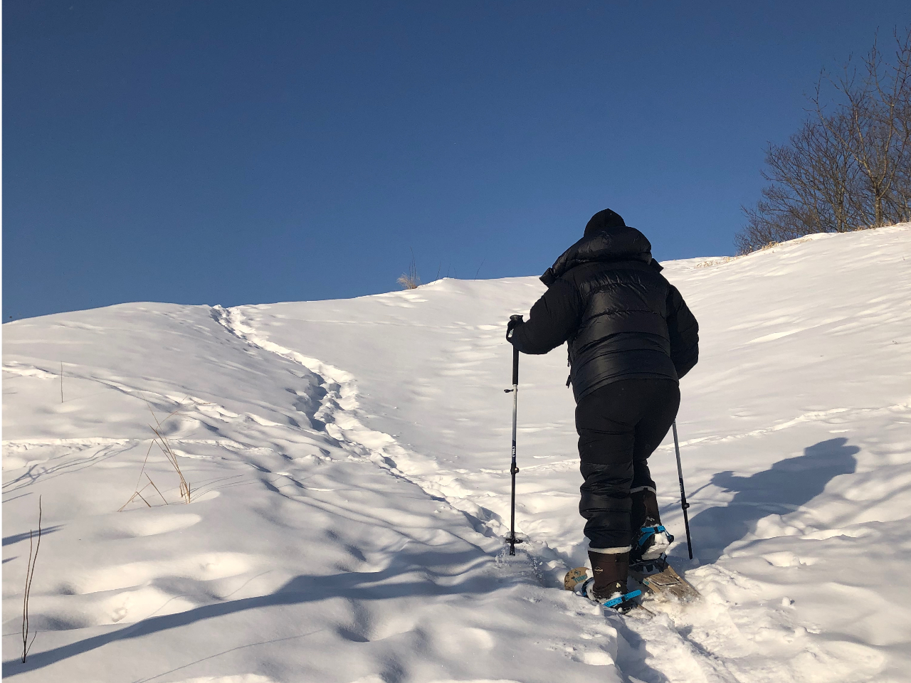 ӏR[ẌBuoɂ͐iIƌiFĂ܂̂ŁAEĕ܂傤B