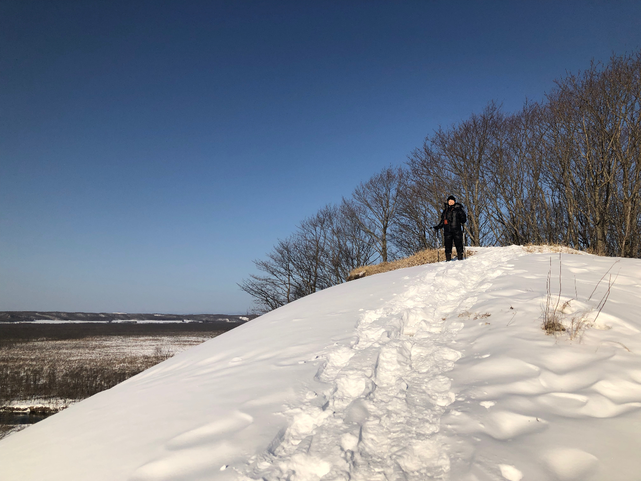 nǔZBH̋͐ł̂ŁAǂ܂ł邱Ƃo܂B