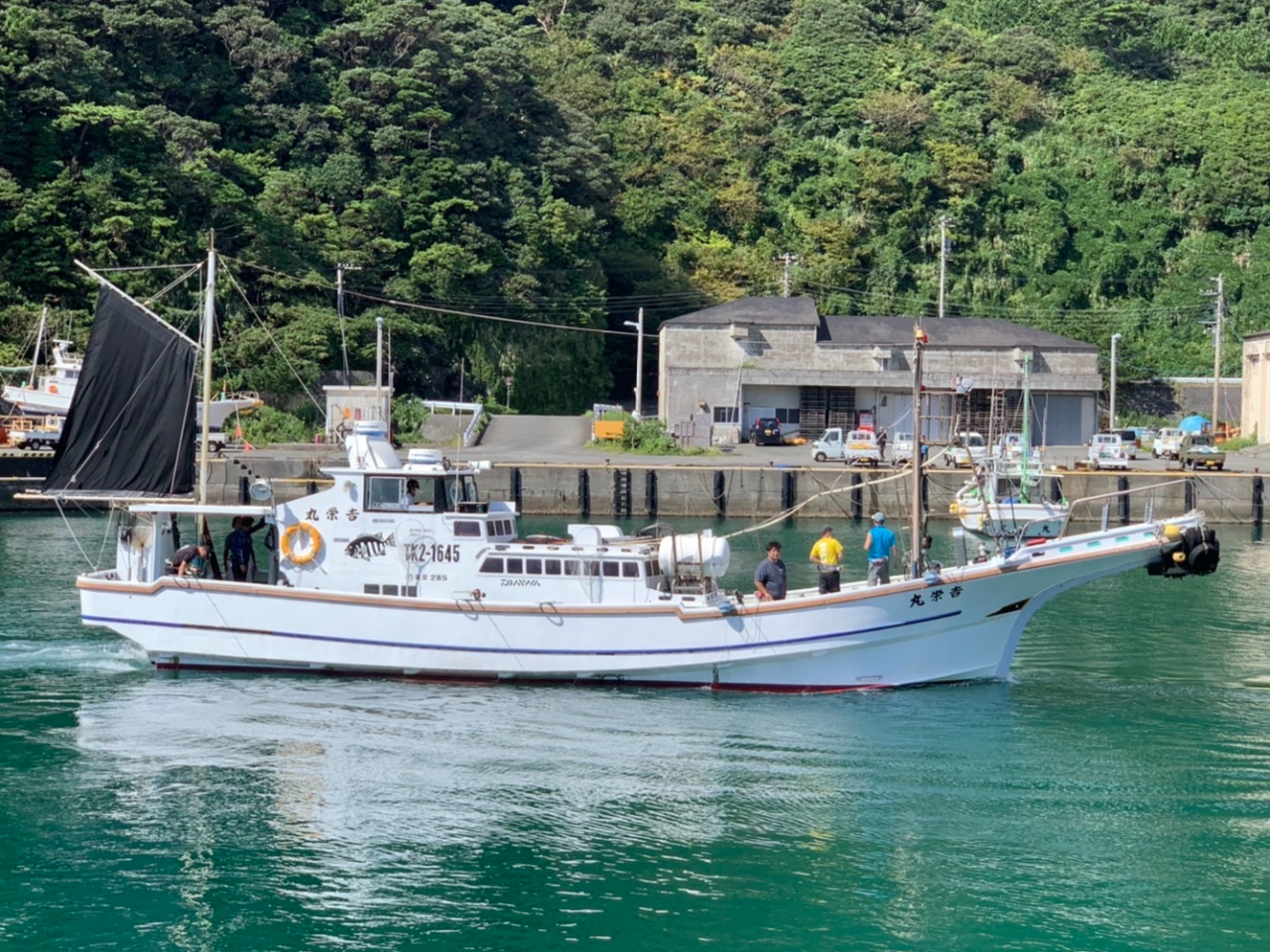 @@@@@@@@@@@@@@Dނ̌ցBoII