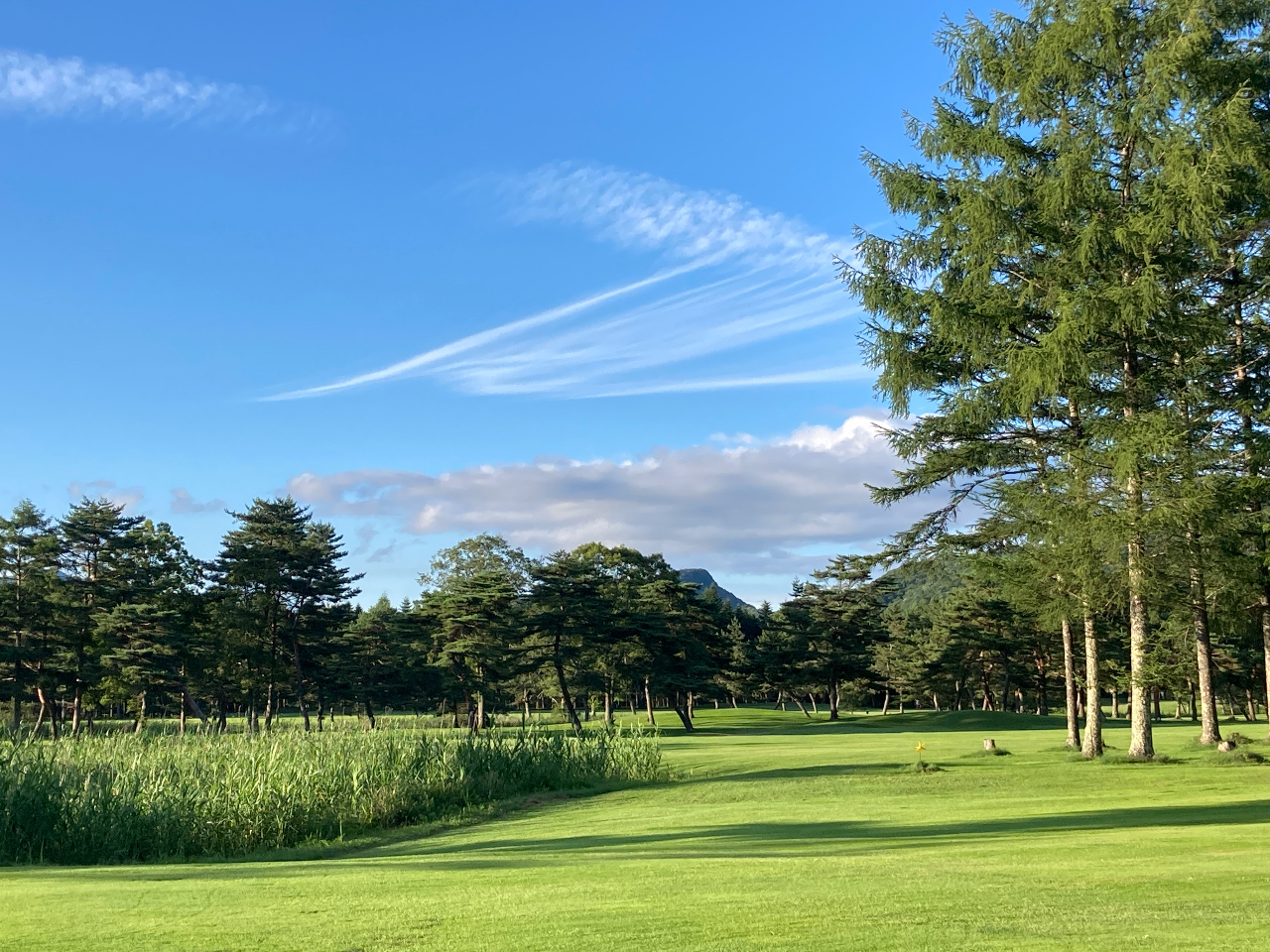 yɂ͋ߗׂ܂߂ƑR̃StR[X܂