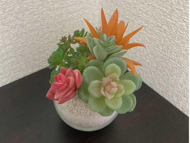 大阪 吹田市 初心者歓迎 お花畑の フェイク多肉植物寄せ植え教室 年の講師経験で様々なご要望にお応えします お花畑 じゃらん遊び体験 大阪 吹田市 初心者歓迎 お花畑の フェイク多肉植物寄せ植え教室 年の講師経験で様々なご要望にお応えします お花畑 じゃらん遊び体験