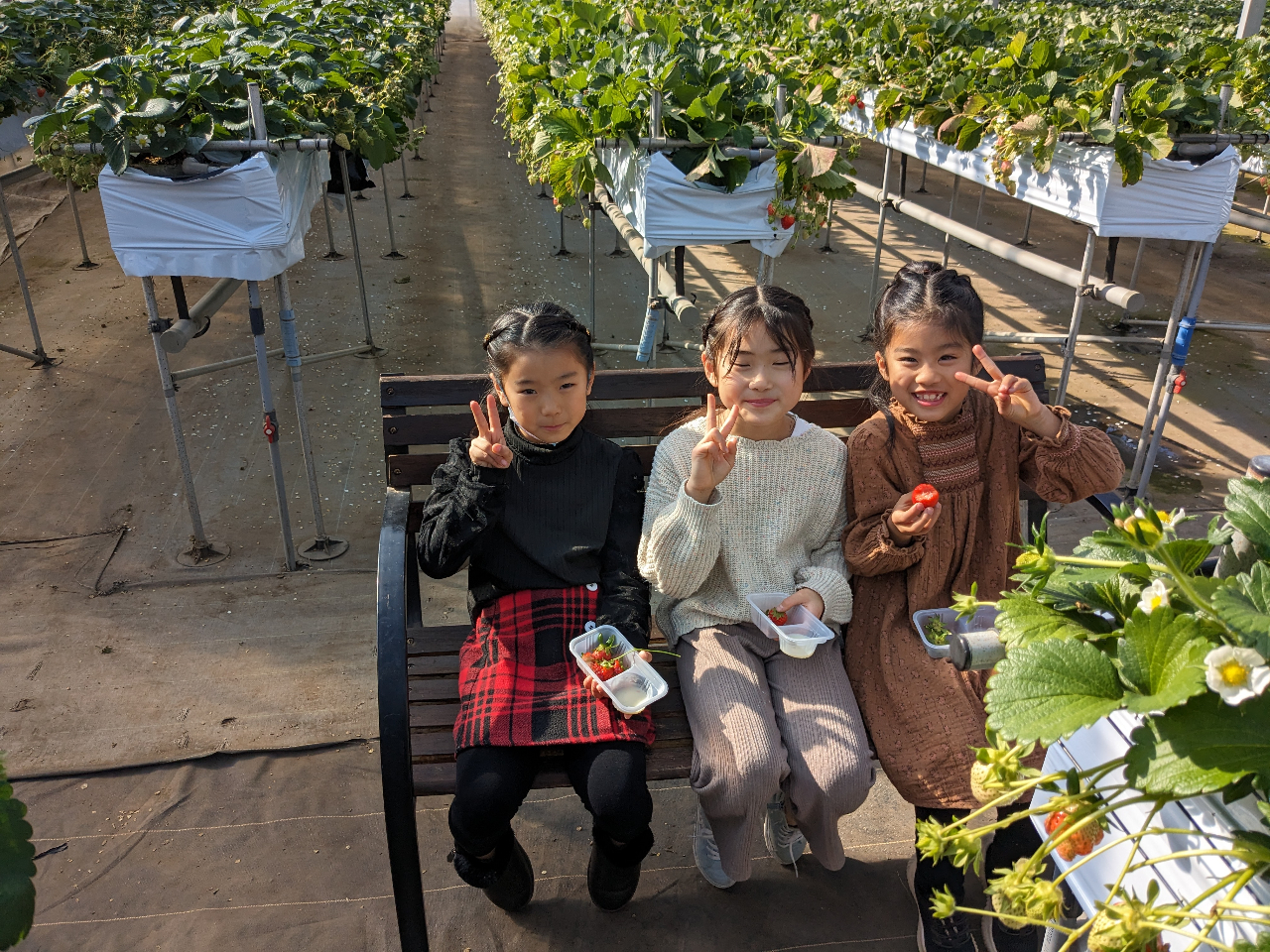 2025年【開園～4/10】◇65歳以上割引あり◇30分食べ放題◇嬉しい4品種